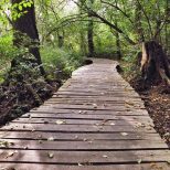 Erisictón de Tesalia y Mestra La Colección de Historias de la Tierra